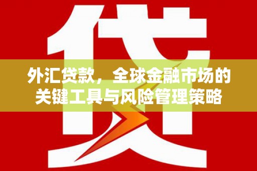 圣方济各堂区外汇贷款，全球金融市场的关键工具与风险管理策略