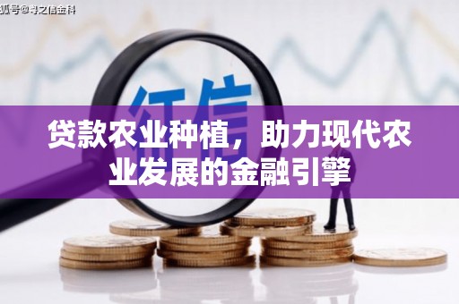 圣方济各堂区贷款农业种植，助力现代农业发展的金融引擎