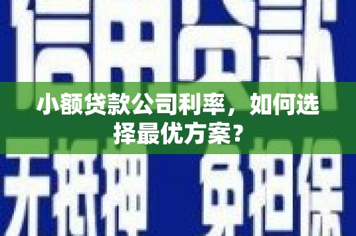 圣方济各堂区小额贷款公司利率，如何选择最优方案？
