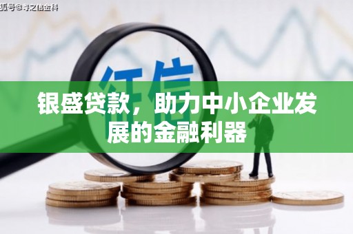 圣方济各堂区银盛贷款，助力中小企业发展的金融利器