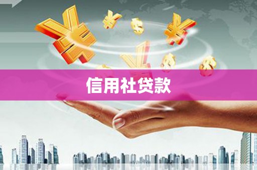 圣方济各堂区信用社贷款