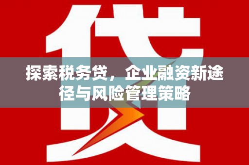 圣方济各堂区探索税务贷，企业融资新途径与风险管理策略