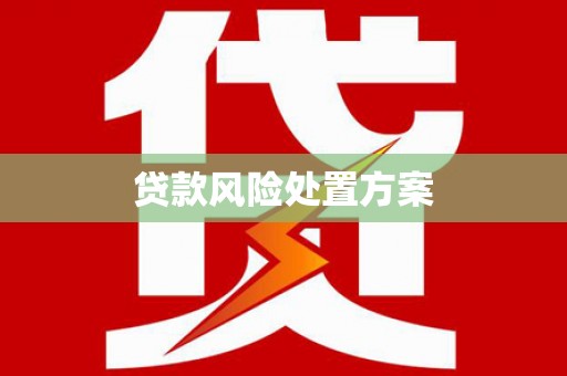 圣方济各堂区贷款风险处置方案