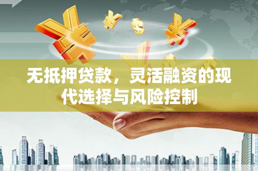 圣方济各堂区无抵押贷款，灵活融资的现代选择与风险控制