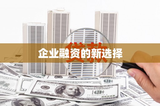 圣方济各堂区企业融资的新选择