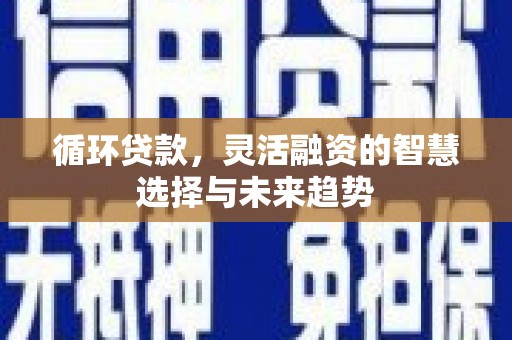 圣方济各堂区循环贷款，灵活融资的智慧选择与未来趋势
