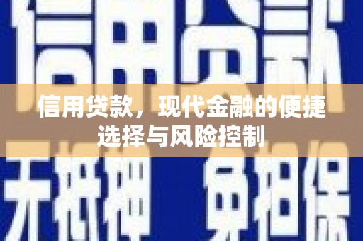 圣方济各堂区信用贷款，现代金融的便捷选择与风险控制