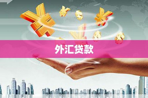 圣方济各堂区外汇贷款