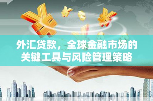 圣方济各堂区外汇贷款，全球金融市场的关键工具与风险管理策略