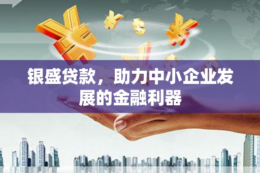 圣方济各堂区银盛贷款，助力中小企业发展的金融利器