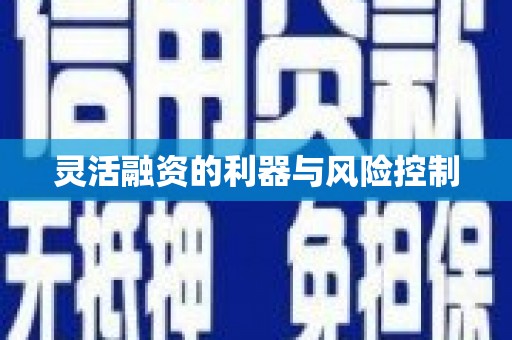 圣方济各堂区灵活融资的利器与风险控制