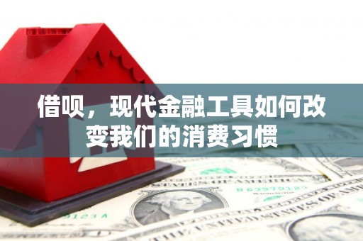 圣方济各堂区借呗，现代金融工具如何改变我们的消费习惯