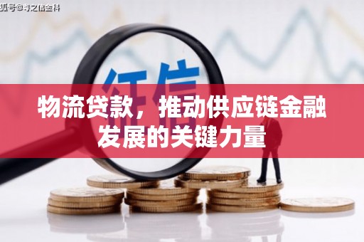 圣方济各堂区物流贷款，推动供应链金融发展的关键力量