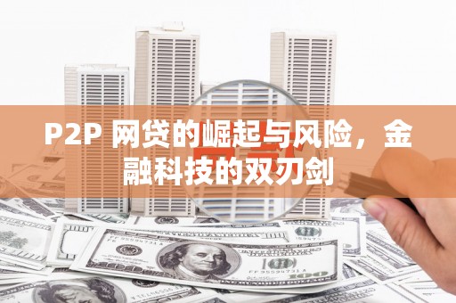 圣方济各堂区P2P 网贷的崛起与风险，金融科技的双刃剑