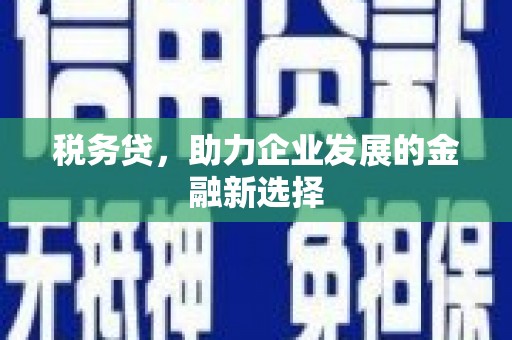 圣方济各堂区税务贷，助力企业发展的金融新选择