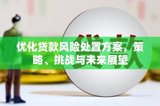 圣方济各堂区优化贷款风险处置方案，策略、挑战与未来展望
