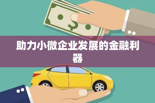 圣方济各堂区助力小微企业发展的金融利器