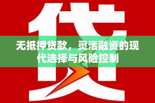 圣方济各堂区无抵押贷款，灵活融资的现代选择与风险控制