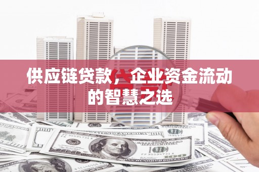 圣方济各堂区供应链贷款，企业资金流动的智慧之选