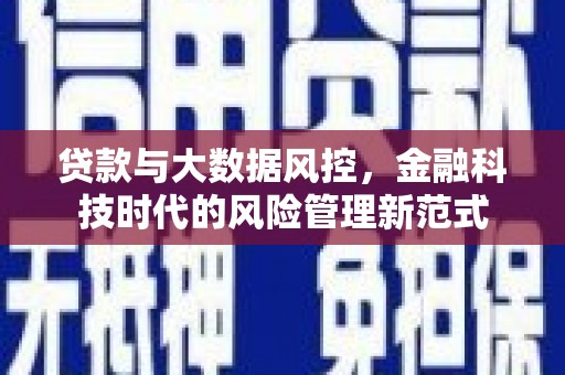 圣方济各堂区贷款与大数据风控，金融科技时代的风险管理新范式