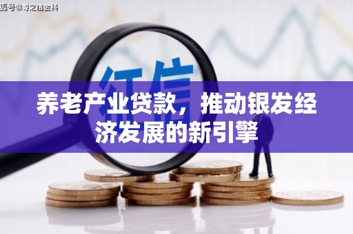 圣方济各堂区养老产业贷款，推动银发经济发展的新引擎