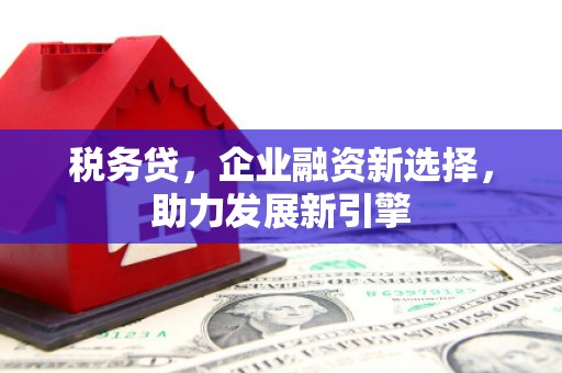 圣方济各堂区税务贷，企业融资新选择，助力发展新引擎