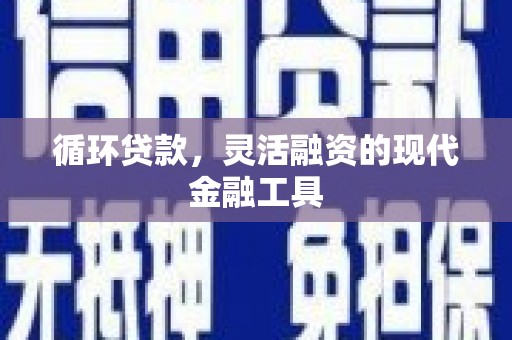 圣方济各堂区循环贷款，灵活融资的现代金融工具