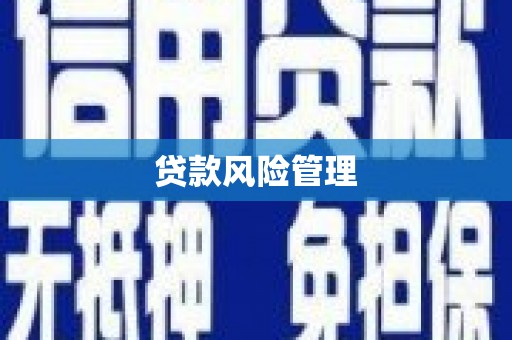 圣方济各堂区贷款风险管理
