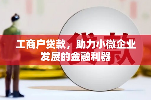 圣方济各堂区工商户贷款，助力小微企业发展的金融利器