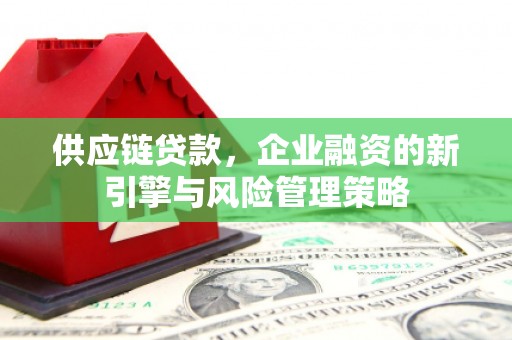 圣方济各堂区供应链贷款，企业融资的新引擎与风险管理策略