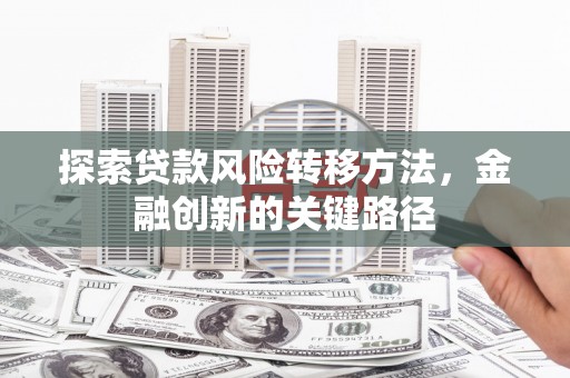 圣方济各堂区探索贷款风险转移方法，金融创新的关键路径