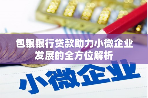 圣方济各堂区包银银行贷款助力小微企业发展的全方位解析