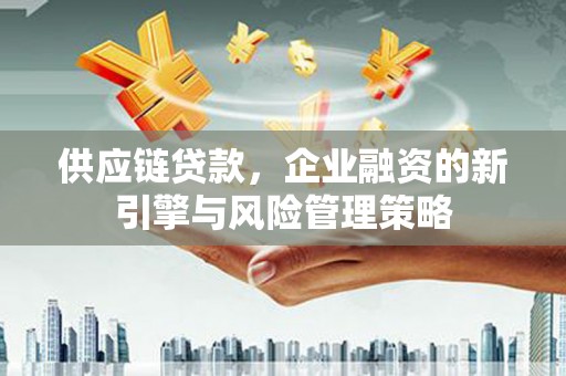 圣方济各堂区供应链贷款，企业融资的新引擎与风险管理策略