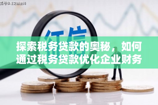 圣方济各堂区探索税务贷款的奥秘，如何通过税务贷款优化企业财务