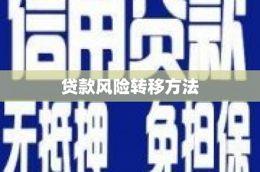 圣方济各堂区贷款风险转移方法
