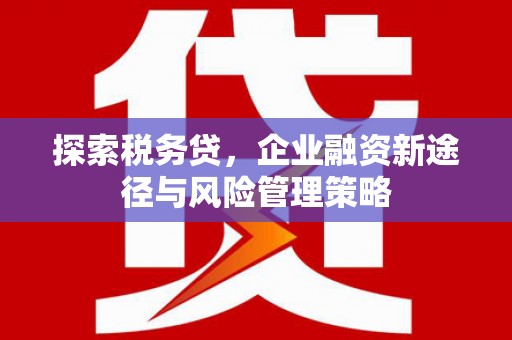 圣方济各堂区探索税务贷，企业融资新途径与风险管理策略