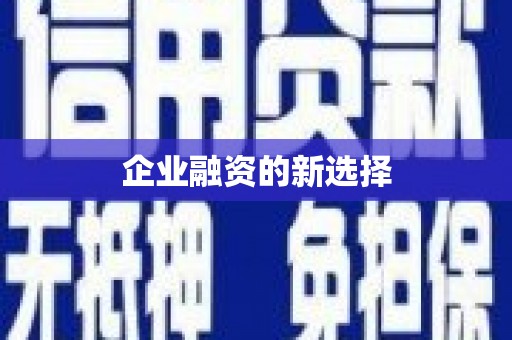 圣方济各堂区企业融资的新选择