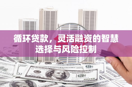 圣方济各堂区循环贷款，灵活融资的智慧选择与风险控制