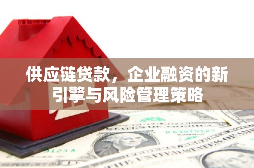 圣方济各堂区供应链贷款，企业融资的新引擎与风险管理策略