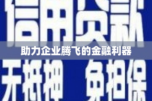 圣方济各堂区助力企业腾飞的金融利器