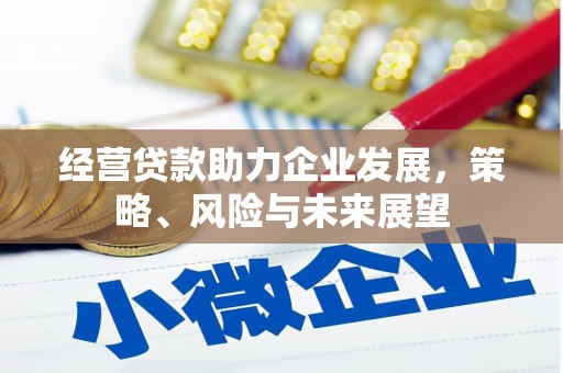 圣方济各堂区经营贷款助力企业发展，策略、风险与未来展望