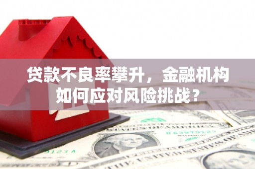 圣方济各堂区贷款不良率攀升，金融机构如何应对风险挑战？