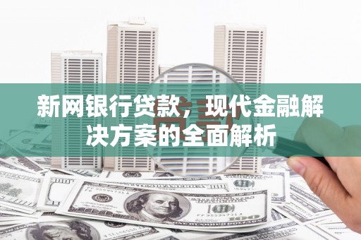 圣方济各堂区新网银行贷款，现代金融解决方案的全面解析