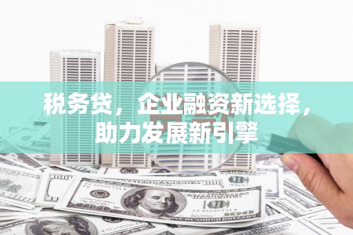 圣方济各堂区税务贷，企业融资新选择，助力发展新引擎