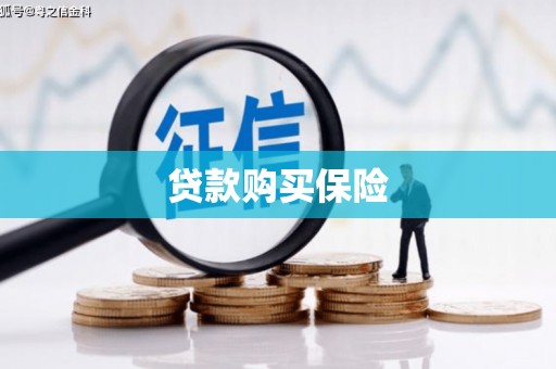 圣方济各堂区贷款购买保险