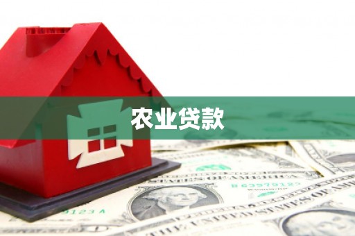 圣方济各堂区农业贷款