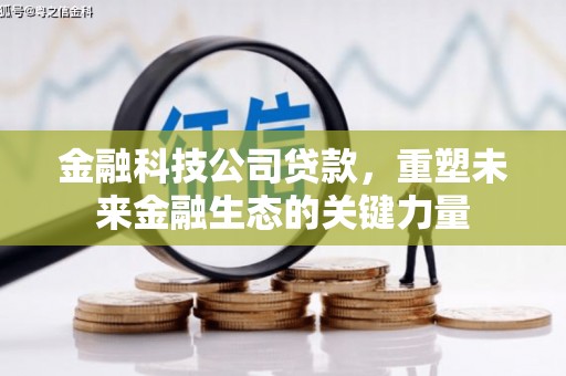 圣方济各堂区金融科技公司贷款，重塑未来金融生态的关键力量