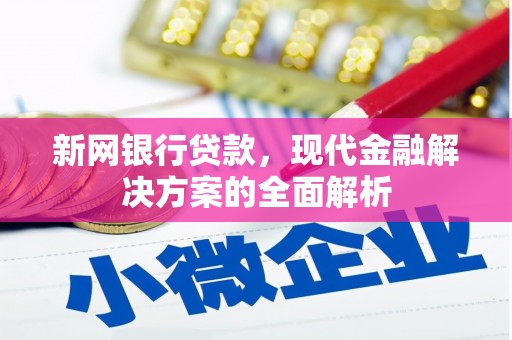 圣方济各堂区新网银行贷款，现代金融解决方案的全面解析