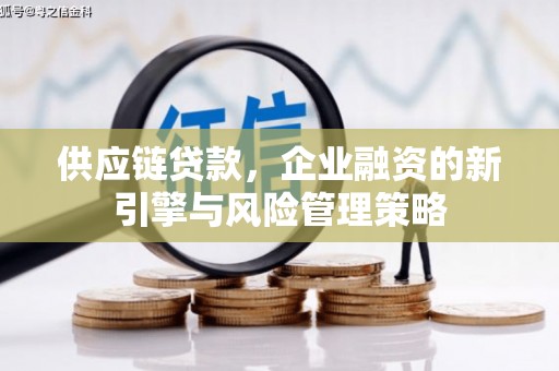圣方济各堂区供应链贷款，企业融资的新引擎与风险管理策略