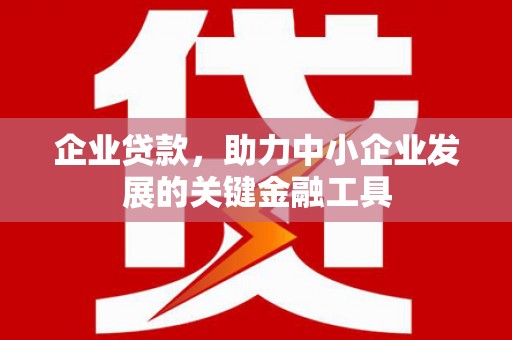 圣方济各堂区企业贷款，助力中小企业发展的关键金融工具